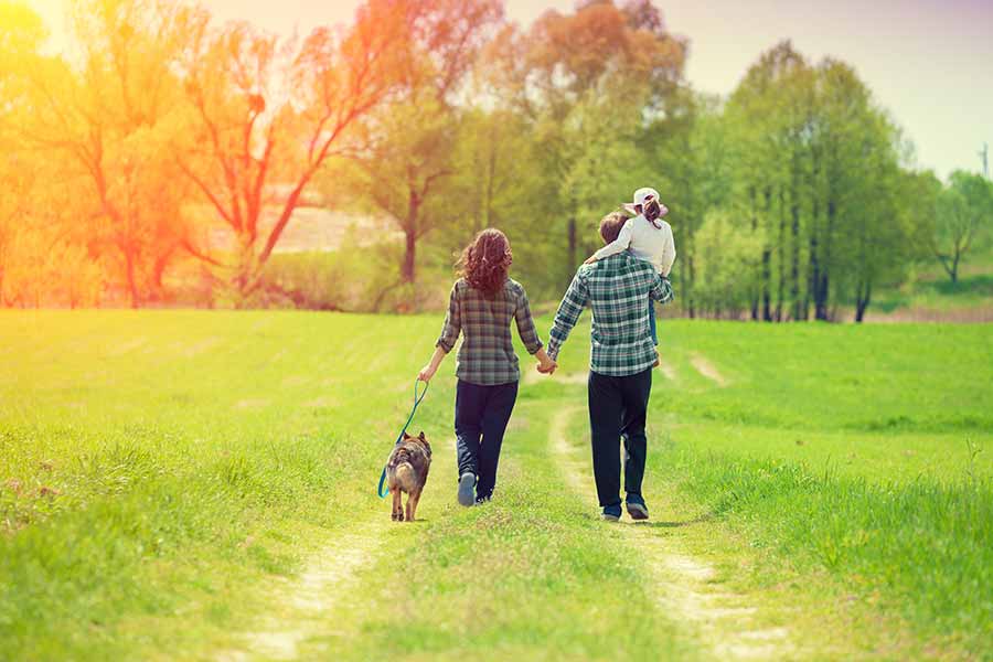 Man with daughter on shoulder holding hands with a woman with a dog while walking in a grass  field